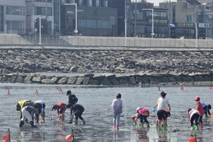 시흥시 오이도 어촌체험휴양마을, 3월 1일 개장